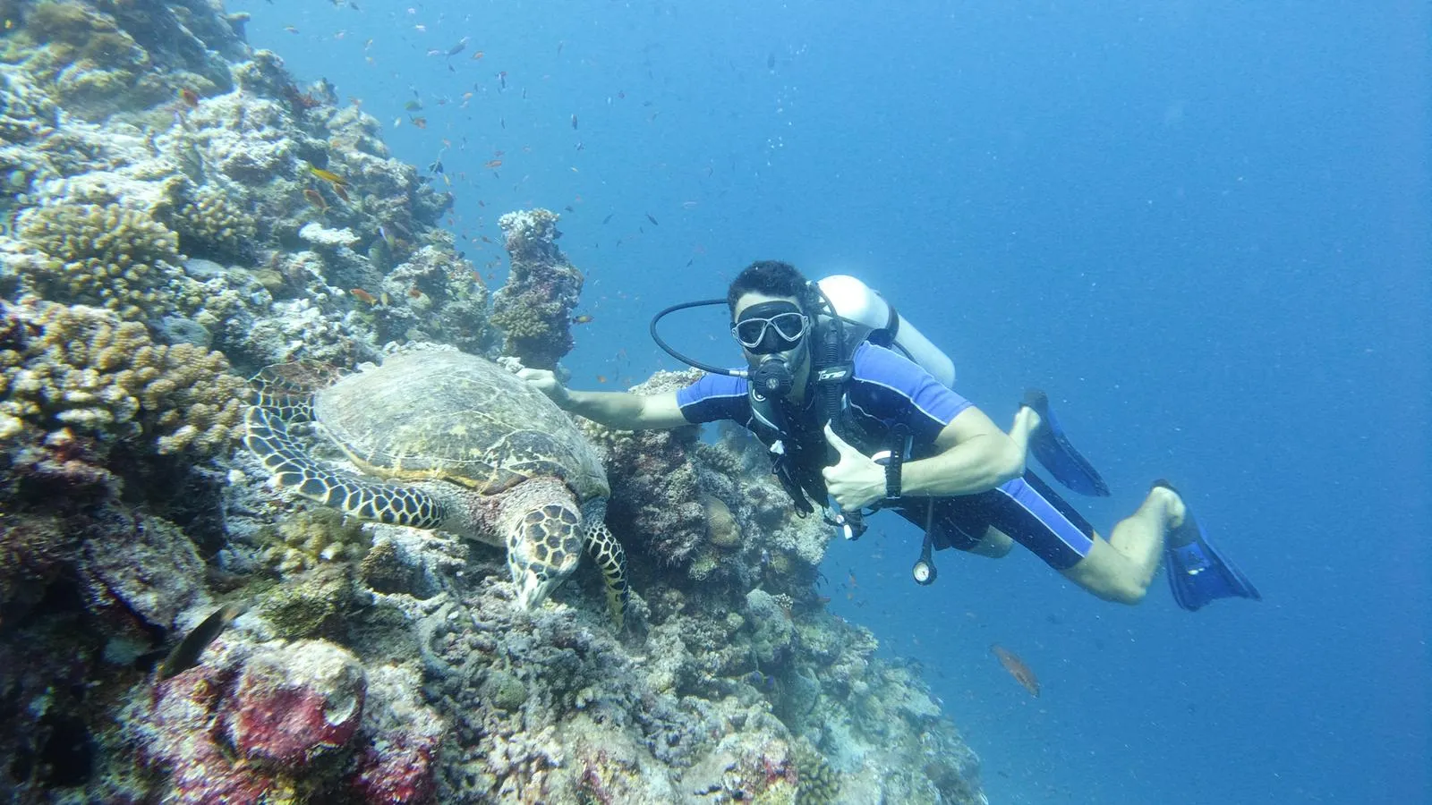 Personal Trainer und Ernährungsberater für Unternehmer und Unternehmerinnen